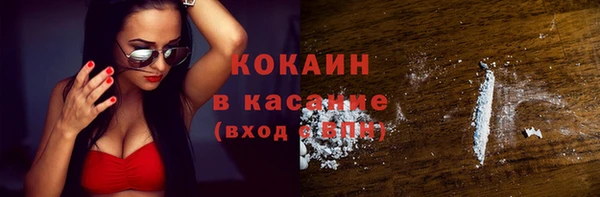 сатива Балахна