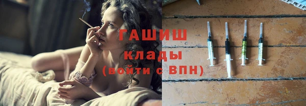 сатива Балахна