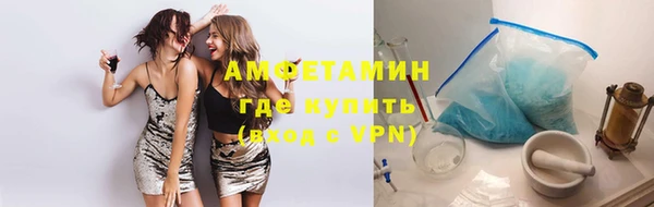 сатива Балахна