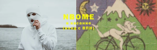 сатива Балахна