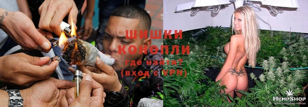 сатива Балахна