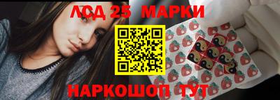 индика Пенза