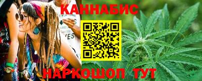 индика Пенза