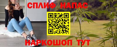 индика Пенза