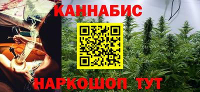 индика Пенза