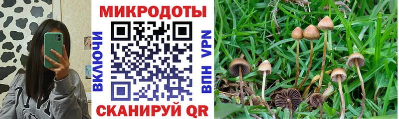 Галлюциногенные грибы Magic Shrooms Печора