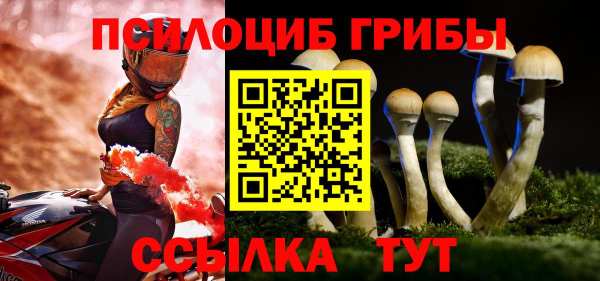 Печора  Галлюциногенные грибы Psilocybine cubensis  Вход с VPN  Псилоцибиновые грибы Cubensis 