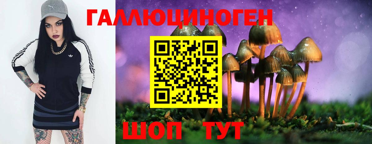 Галлюциногенные грибы Cubensis Печора